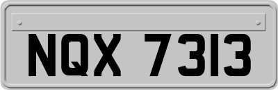 NQX7313