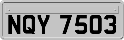 NQY7503