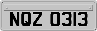 NQZ0313