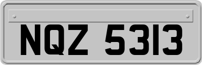 NQZ5313