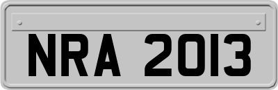 NRA2013