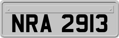 NRA2913