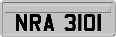 NRA3101