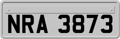 NRA3873