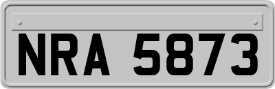 NRA5873