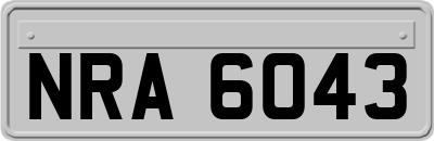 NRA6043
