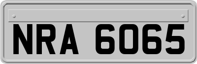 NRA6065