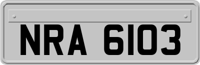 NRA6103
