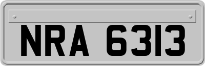NRA6313