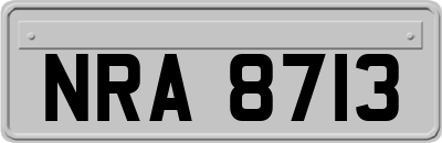 NRA8713