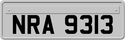 NRA9313