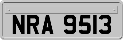 NRA9513