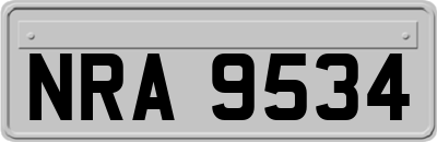NRA9534