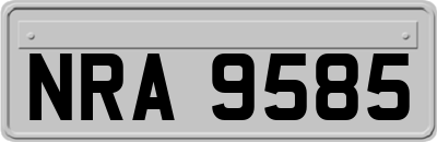 NRA9585