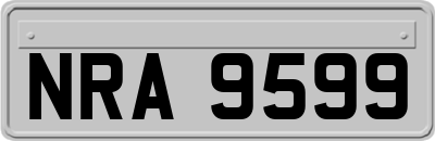 NRA9599