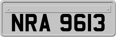 NRA9613