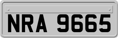 NRA9665