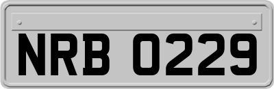 NRB0229
