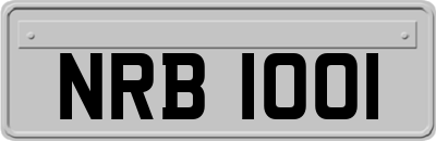 NRB1001