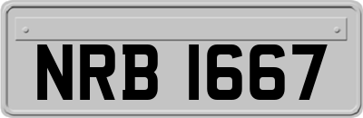 NRB1667
