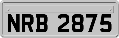 NRB2875