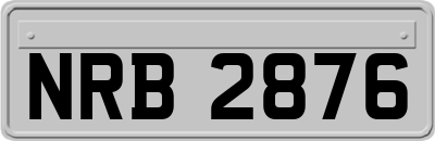 NRB2876