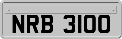 NRB3100