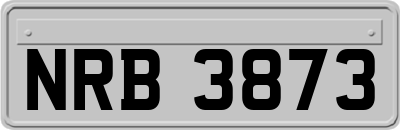 NRB3873