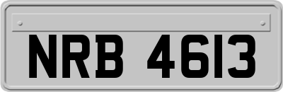 NRB4613