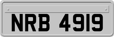 NRB4919