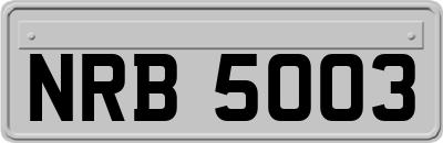 NRB5003