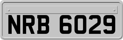 NRB6029