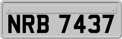 NRB7437