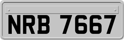 NRB7667