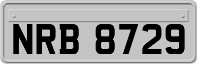 NRB8729