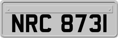 NRC8731