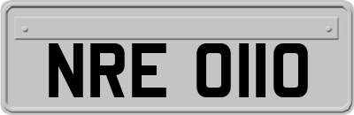 NRE0110