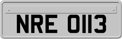 NRE0113
