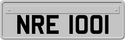 NRE1001
