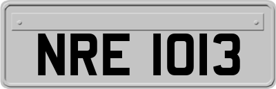NRE1013