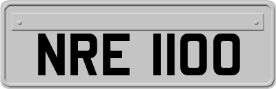 NRE1100
