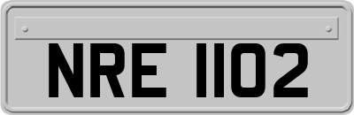 NRE1102