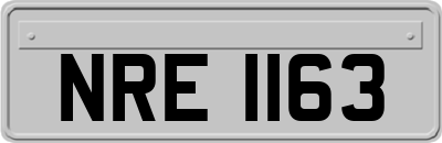 NRE1163