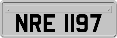 NRE1197