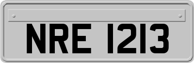 NRE1213