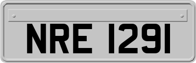 NRE1291