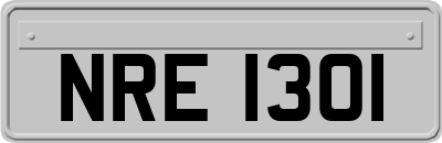 NRE1301