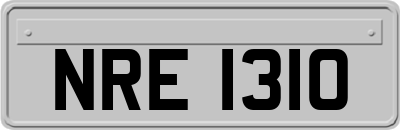 NRE1310