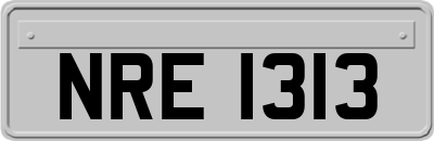 NRE1313