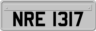 NRE1317